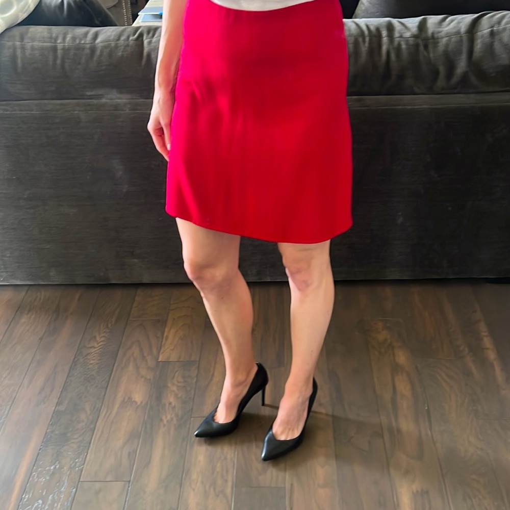 Theory skirt - new with tags